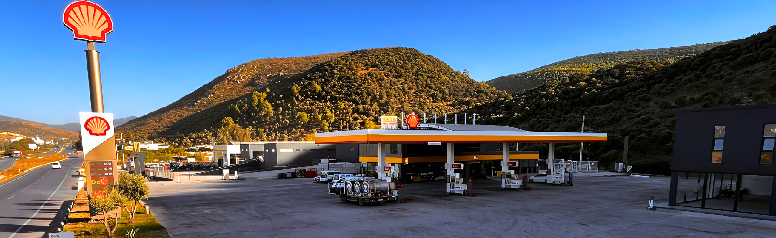 image of global petrol